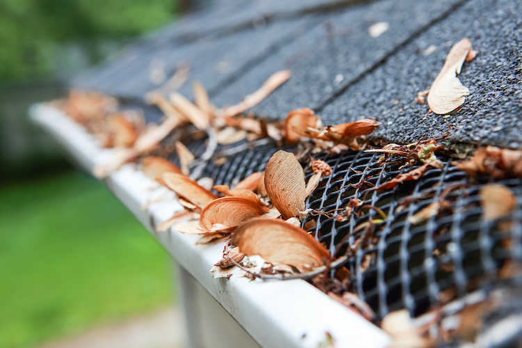 Clogged Gutters Using Mesh Covers - K-Guard Rocky Mountains