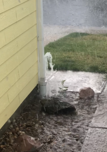 Water shooting out of underground drain. Water is pooled around underground drain. Clogged underground drain. Yellow house. Rain storm. Water not draining away from house properly.