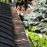 Foam insert with pine needles on top. View from above. Needs to be cleaned and maintained regularly.