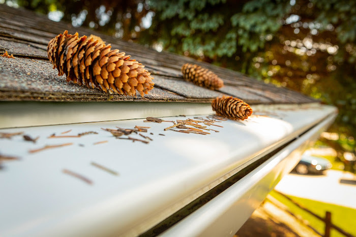 Pine cones and fallen needles resting on the closed hood of a K-Guard gutter instead of falling into the trough