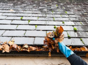 Person Wearing Gloves Cleaning Out Gutters Full of Leaves - K-Guard Rocky Mountains