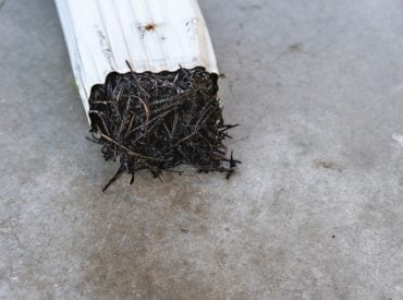 Close,Up,Of,White,Metal,Rainwater,Downspout,Section,Detached,From